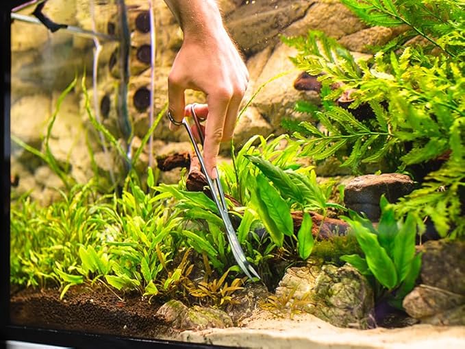 Long Aquarium Scissors for Plants 9.8 inches, Aquascaping Scissors Curved, Aquarium Plant Trimmer, Aquascape Tools, Terrarium Tools for Plants