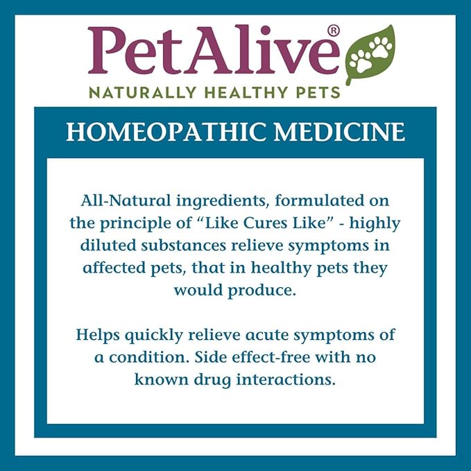 PetAlive Cat and Dog UTI Treatment - Homeopathic Remedy for Dog and Cat UTI Treatment - Supports Bladder Comfort, Reduces Dribbling, Incontinence, Eases Frequent Urination - 1 oz Granules