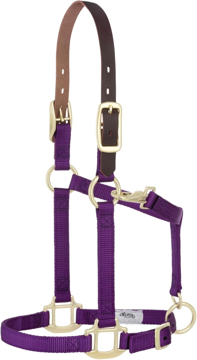 Weaver Equine Breakaway Horse Halter, Supple Leather Crown, Adjustable Chin & Throat Snap Halters for Horses, Equine Tack