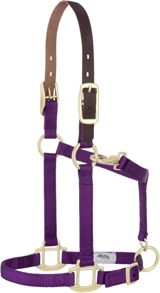 Weaver Equine Breakaway Horse Halter, Supple Leather Crown, Adjustable Chin & Throat Snap Halters for Horses, Equine Tack