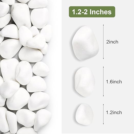 SIDONG 5 lbs White River Rocks, 1.2-2 Inches Pebbles for Indoor Plants, Aquarium Rocks Used in Fish Tank, Decorative Stones for Plants, Vases, Home Décor, Crafting, Garden Landscaping