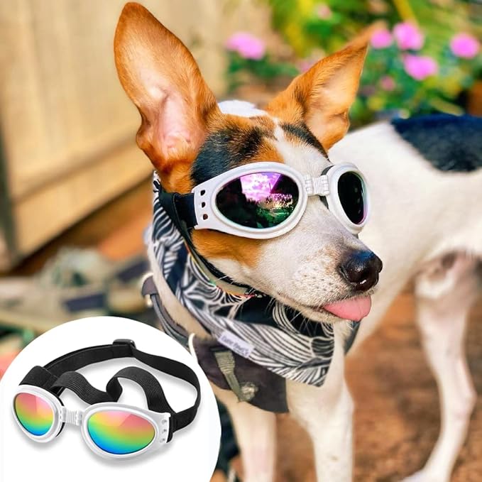 QUMY Dog Sunglasses Dog Goggles for Medium Large Breed Dogs, Wind Dust Fog Protection Eye Wear Pet Glasses with Adjustable Strap for Motorcycle Car Driving Bike Riding Hiking Swimming Over 15lbs White