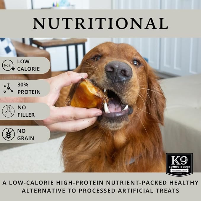 K9 Connoisseur Dog Bones Made in USA for Small and Medium Breed Dogs Natural Long Lasting Meaty Beef Knee Cap Bone Treats Best for Dogs Upto 50 Pounds 1 Pack 30 Count