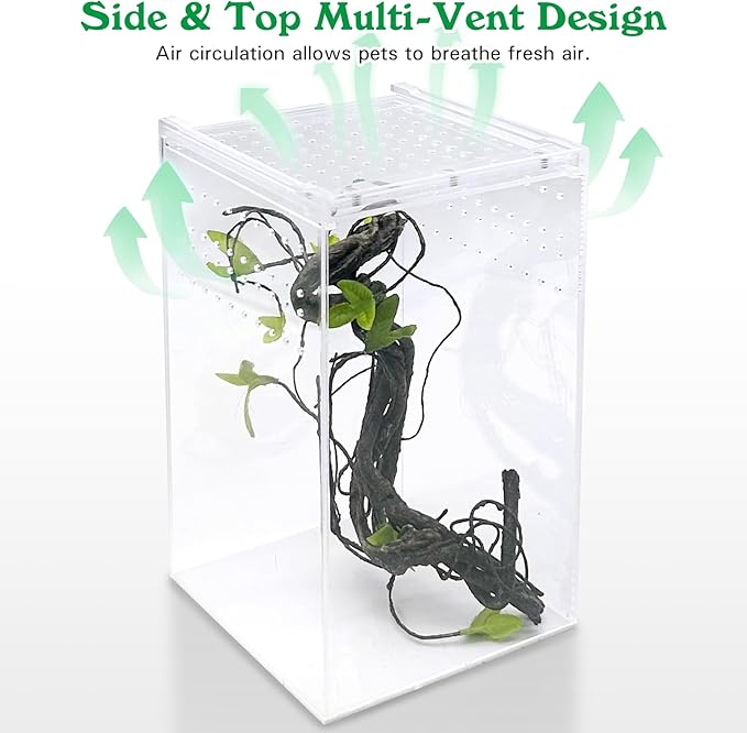 Reptile Terrarium Enclosure 6"x6"x10" Tall Acrylic Tarantula Breeding Box Magnetic Hermit Crab Habitat Vertical Tank Transparent Jumping Spider Cage for Insect Mantis Scorpion Sling Isopods