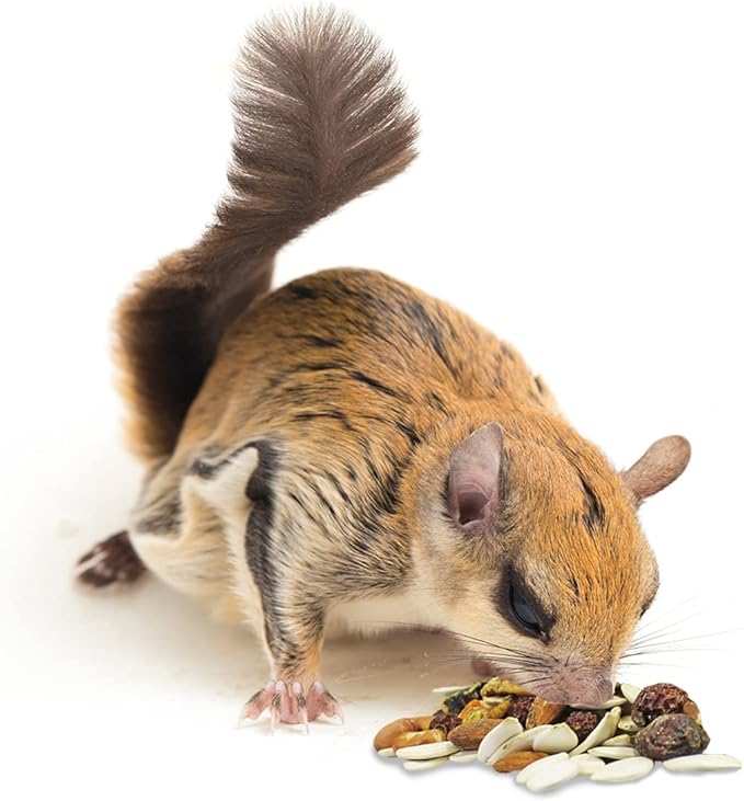 Squirrel Complete (15 lb.) - Healthy Natural Food - Nutritionally Complete Diet for Pet & Captive Squirrels - Ground, Grey, and Flying Squirrels, & Chipmunks