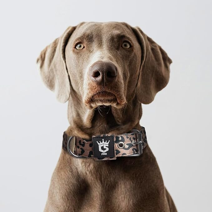 TSPRO Tactical Dog Collar 1.5 Inch Wide Thick Dog Collars with Heavy Duty Metal Buckle, Durable, Strong, Adjustable for Medium to Large Dogs (Leopard Print M)