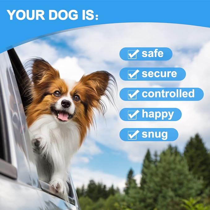 Dog Seat Belt Harness for Car,2pcs Dog Seatbelt of Coated Wire Leash Safety Restraint,No Chew Tether Cable Vehicle Dog Accessories,Double Clips & Latch (2 Pack Red+Blue, 16 inch/40 CM)