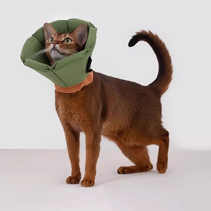Cat Dog Cone Collar - Soft Waterproof Elizabethan for Cats, Cute Green Flower Anti-Lick Recovery Collar, Adjustable Healing Collar for Wound Care & Surgery with a pet Toy Fish，S
