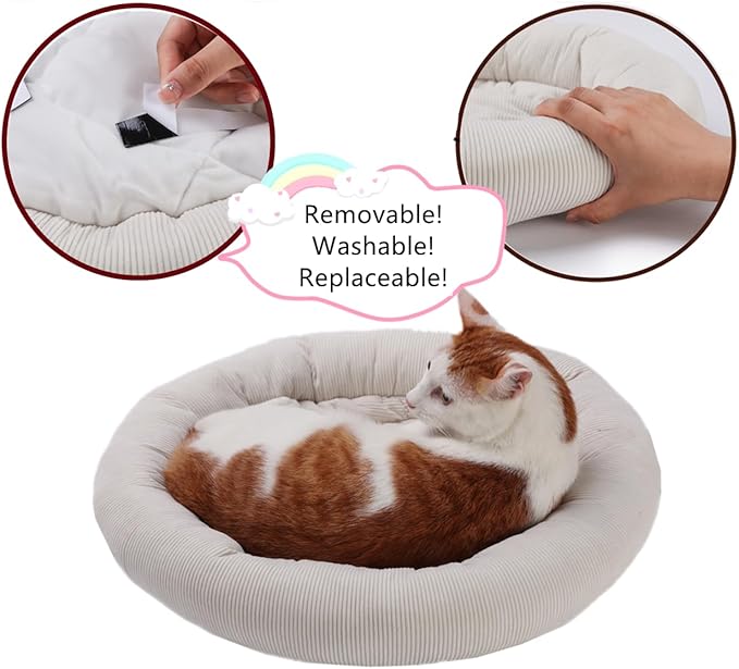 SHENGOCASE Modern Natural Wood Cute Multifunctional Cat Tree Tower Small, Large Sisal Scratching Post, Tilted Angled Ramp Scratcher, Climbing Rope Toy and Cuddle Bed