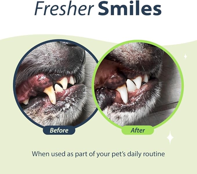 Dental Fresh Water Additive for Cats, Original Formula, 8 oz – Cat Breath Freshener – Products for Cats to Help Overall Cat Dental Health