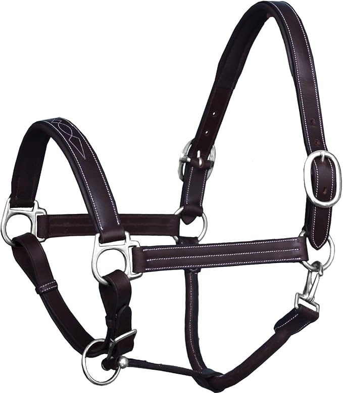 Exion Leather Horse Halter with Fancy Stitching | Black & Brown Padded Halter with Silver Brass Hardware | Quick-Release Snap | Adjustable Leather Halter – Cob, Full, Over, Pony Sizes