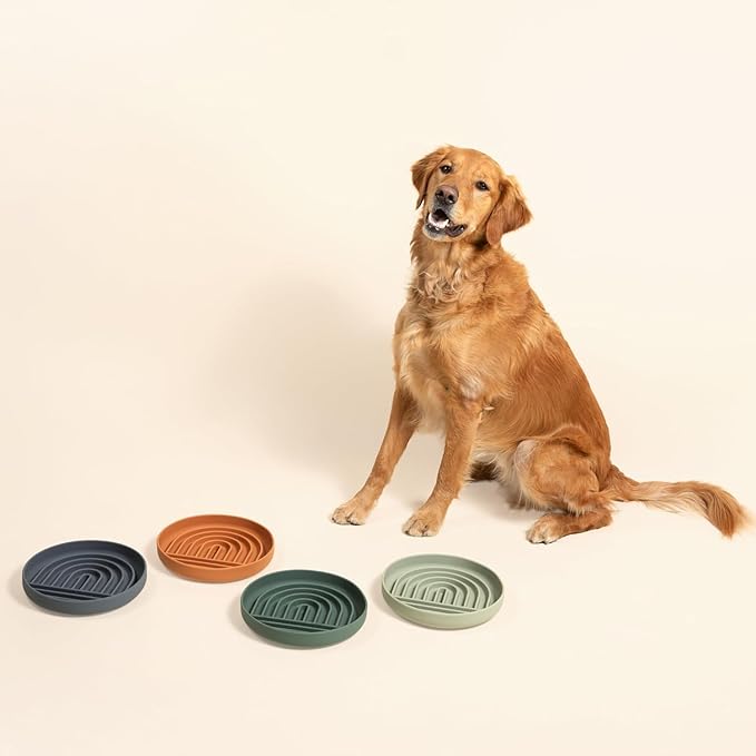The Slowdown Bowl Silicone Slow Feeder for Dogs & Puppies, Slow Eating, Modern Lick Mat Design, Reduces Gulping, Fits 2.5 Cups 9.5” Across x 1.5” Tall, Mealtime Challenge, Large-Blush