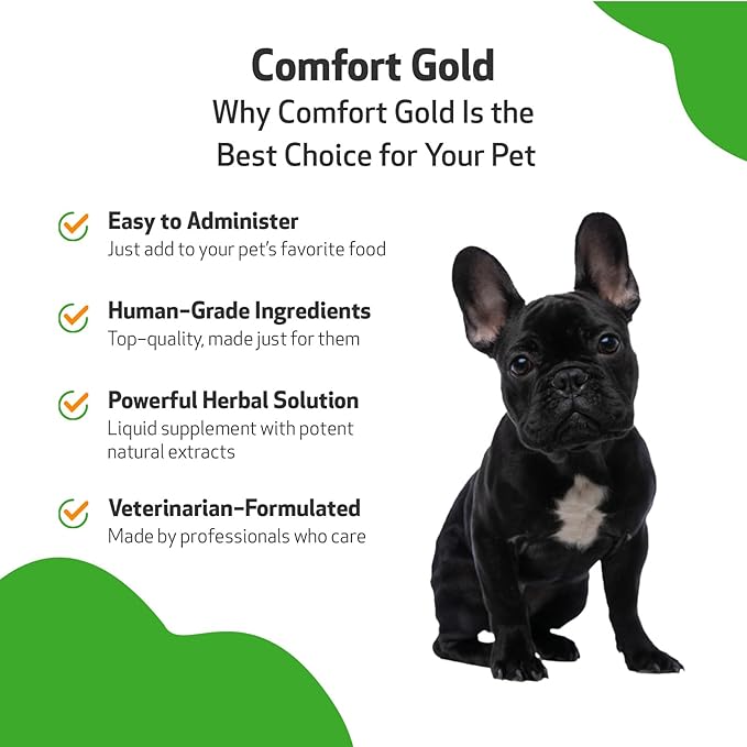 Pet Wellbeing Comfort Gold for Dogs - Supports Canine Physical Comfort, Healthy Circulation, Corydalis, Turmeric - Veterinarian-Formulated Herbal Supplement 2 oz (59 ml)