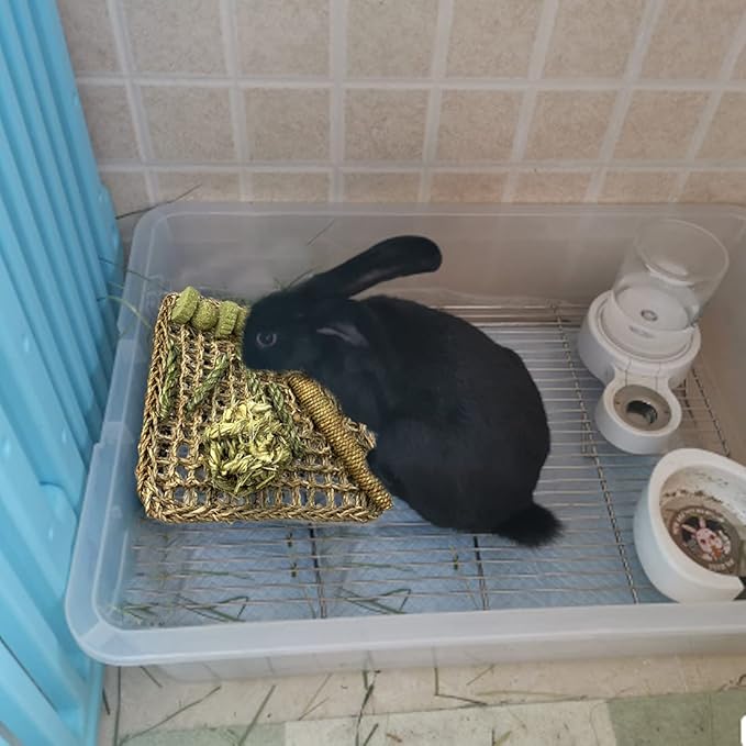 Hamiledyi Rabbit Seagrass Mat Bunny Chew Toys for Teeth Hanging Activity Mat Rabbit Enrichment Activity Mat Small Animal Toys for Hamster Guinea Pigs Gerbil Birds