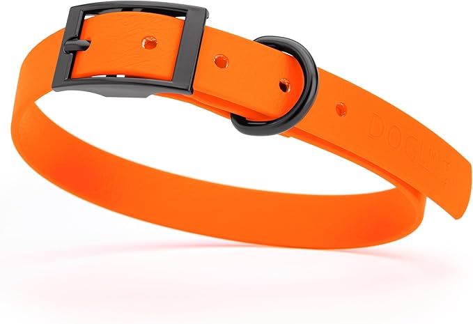 Dogline Biothane Waterproof Dog Collar Strong Coated Nylon Webbing with Black Hardware Odor- Proof for Easy Care Easy to Clean High Performance Fits Small Medium or Large Dogs, Hunter Orange