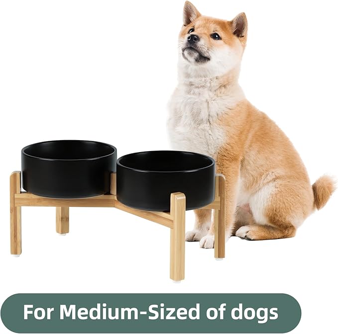 Ceramic Raised Double Bowls Set with Stand, Food & Water Bowls for Medium Breed Dogs, Weighted Dog Dishes, Pet Bowl(7.3'',41OZ, Black)
