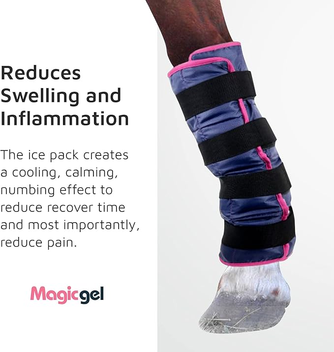 Magic Gel Horse Ice Pack with Carry Case - Twin Ice Boots | Cooling Horse Leg Wraps for Hock, Ankle, Knee, Legs, Boots, and Hooves | Horse Tack, Horse Supplies & Horse Gift Ideas for Horse Lovers