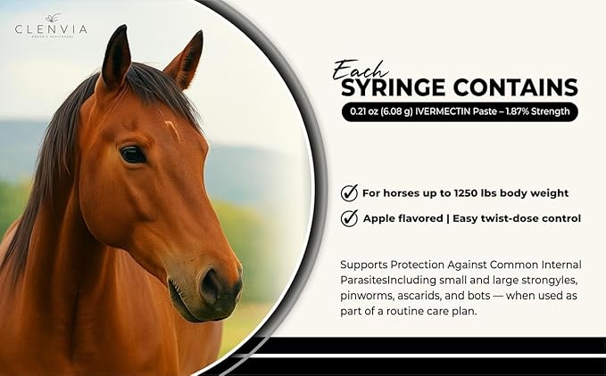 Horse Paste 1.87% – Apple Flavored Wormer – 6.08g Tube – Treats Up to 1250 lb (4 Pack)