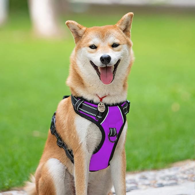 PoyPet No Pull Dog Harness, Reflective Comfortable Vest Harness with Front & Back 2 Leash Attachments and Easy Control Handle Adjustable Soft Padded Pet Vest for Small to Large Dogs (Purple,S)