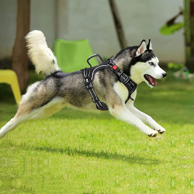 PoyPet No Pull Dog Harness, No Choke Front Clip Reflective Dog Vest with Soft Padded Vertical Handle, 3 Leash Attachments for Small Medium Large Dogs (Black,XL)