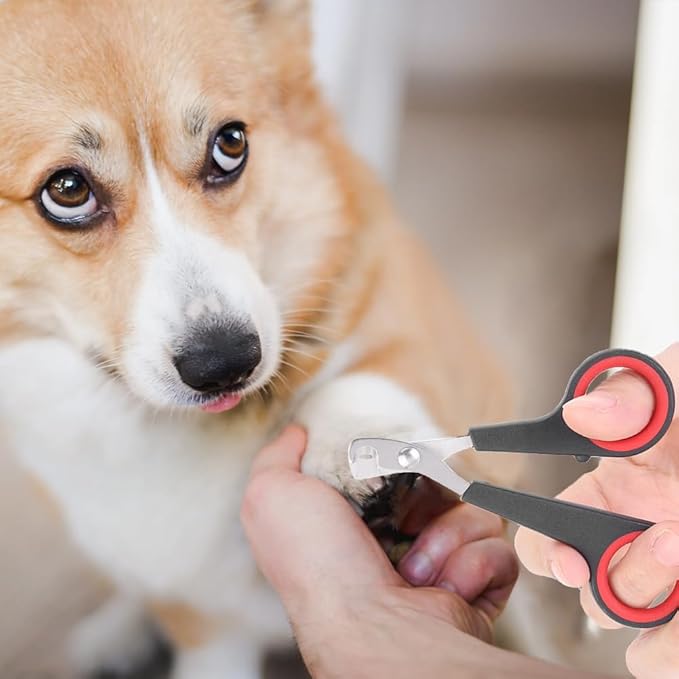 Cat Nail Clipper, Cat Nail Trimmers Cat Claw Clippers Small Dog Nail Clippers Bird Nail Scissors Stainless Steel Parrot Cage Essential Grooming Accessory for Small Animals Ferrets Bunny Rabbit Puppy