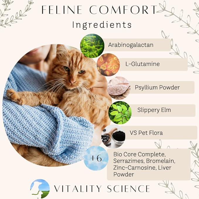 Gastro Prime Combo for Cats | Supports Normal GI Function and Improves Nutrient Assimilation