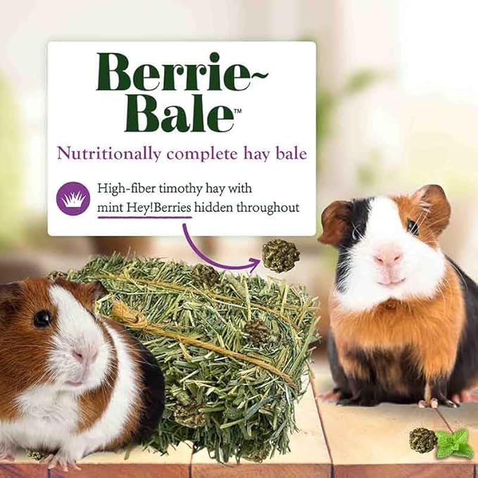 LAFEBER'S Berrie-Bale Mint for Guinea Pigs 1 lb