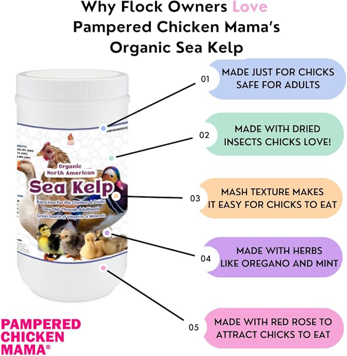 Organic Kelp for Chickens & Duck Feed (5 Pound): Chicken Vitamins | Chicken Supplements | Vitamins for Chickens | Pampered Chicken Mama
