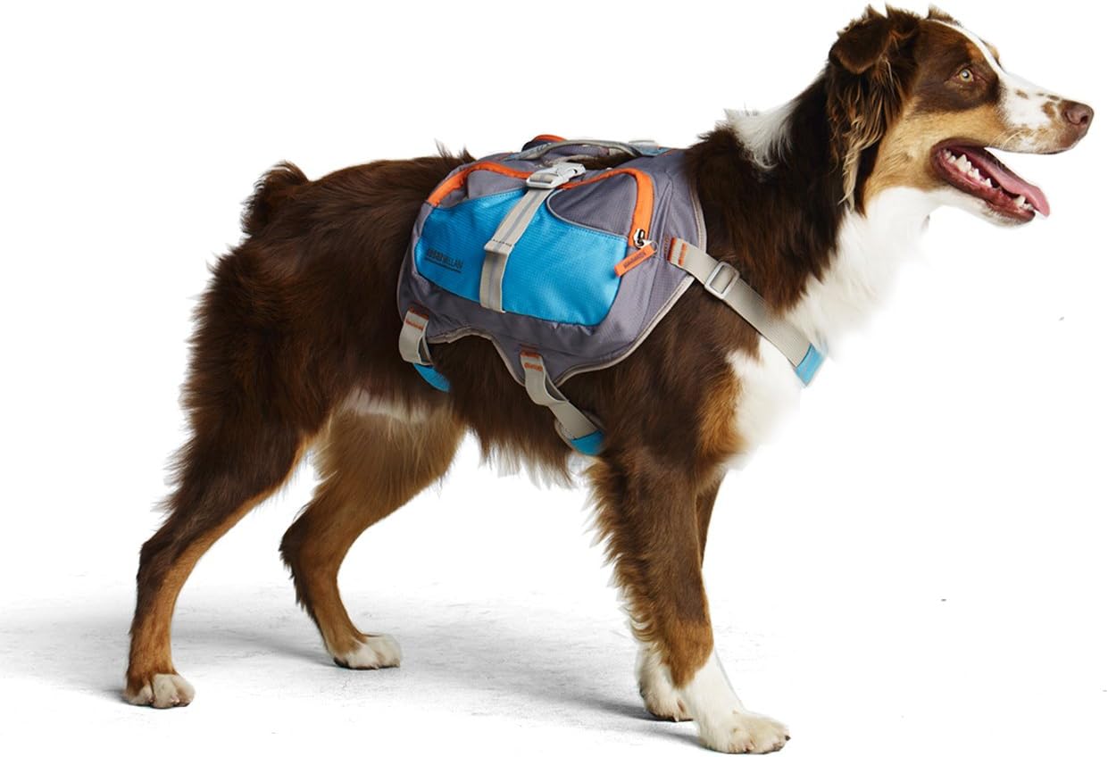 Cesar Millan Dog Backpack (Small)