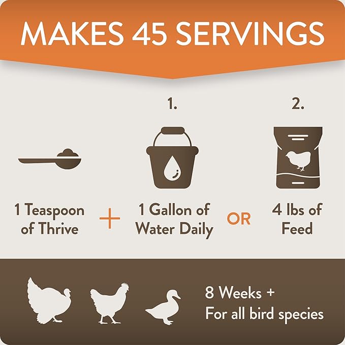 Thrive, Daily Probiotic & Prebiotic Water Supplement for Chickens 8+ Weeks Old, 8 oz (Pack of 2)
