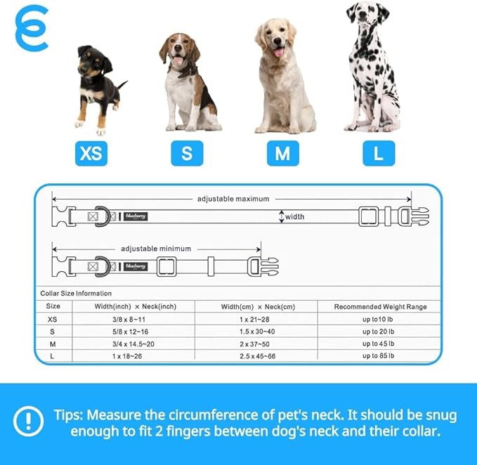 Blueberry Pet Essentials Medium Dog Collar in Black | Adjustable & Eco-Friendly Durable Nylon Strap | Classic Collar for Medium Dogs, Boy & Girl Pets