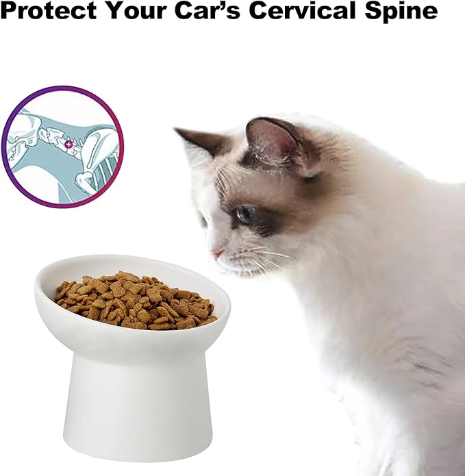 Small Ceramic Raised Cat Bowls, Tilted Elevated Food or Water Bowls, Stress Free, Backflow Prevention, Dishwasher and Microwave Safe, Lead & Cadmium Free(White)