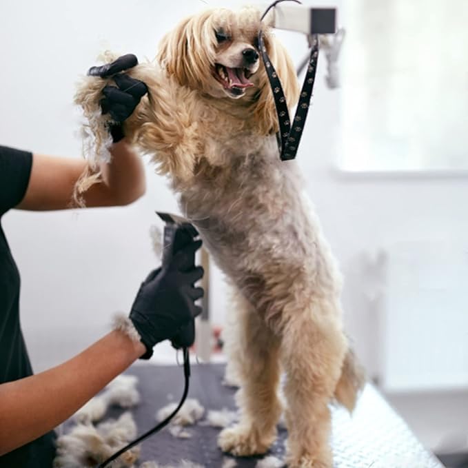 Dog Grooming Clipper Replacement Blades Compatible with Andis Pet Clipper/Oster A5/Wahl KM Series Dog Clipper,Ceramic Blade & Stainless Steel Blade(10+30+40+5FC+7FC)