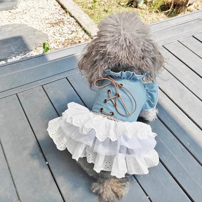 Girl Dog Denim Dress with Flared Sleeves Dog Jeans Jacket Blue White Puppy Clothes for Small Dogs Cat Apparel Cake Skirt Pet Outfit (Blue, X-Large)