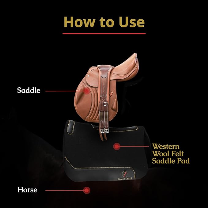 Kavallerie All-Purpose Saddle Pad with Quilted Anti-Slip Padding and Breathable Mesh Fabric for Maximum Airflow and Comfort, Works for English