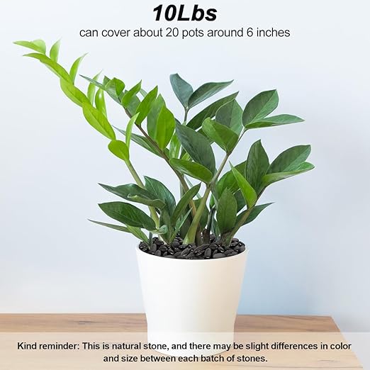 Pebbles for Indoor Plants,Virekm River Rocks,Decorative Ornamental Pebbles,Garden Landscaping Stones Gravel Filler for Home Decoration Flower Bed Fish Tank Plants Vases Succulents (10 Pounds)