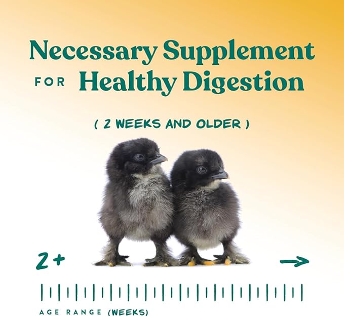 Manna Pro Chick Grit Digestive Supplement for Young Growing Poultry & Bantam Breeds, No Artificial Ingredients or Preservatives, Natural Supplement with Insoluble Crushed Granite, 5 lbs
