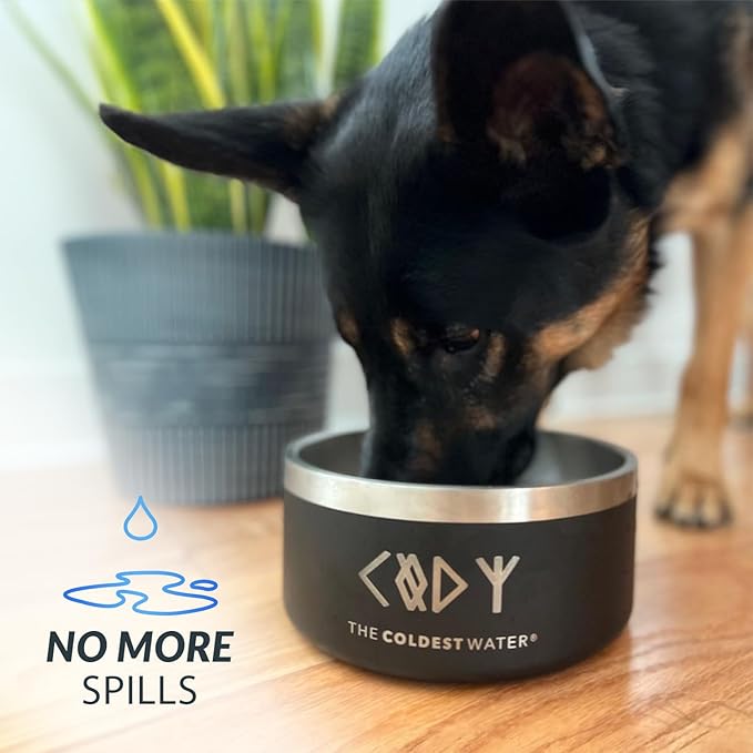 Coldest Dog Bowl - Anti Rust Metal, Non Slip, 3 Layers Insulated Stainless Steel Dog Bowls - Spill Proof & Heavy Duty - Water Bowl for Dogs, Cats, Dish Washer Safe (21 oz, Polished Stainless Steel)