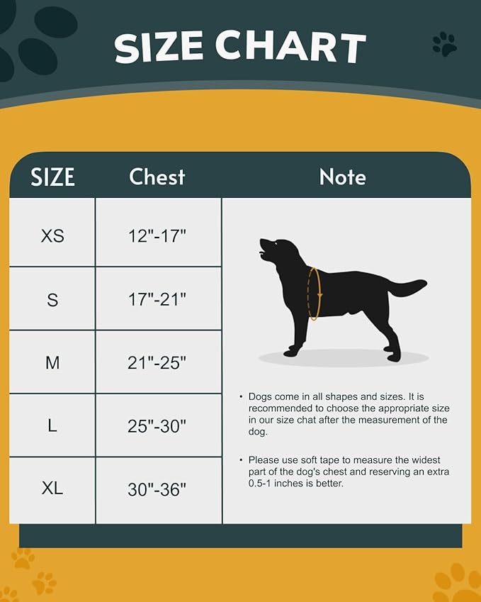 MIDOG No-Pull Dog Harness | Adjustable & Reflective Pet Harness Leash Set for Small Medium Large Dogs Walking, Training| No Choke, Front Clip, Soft Padded Vest with Easy Control Handle - Blue, XL