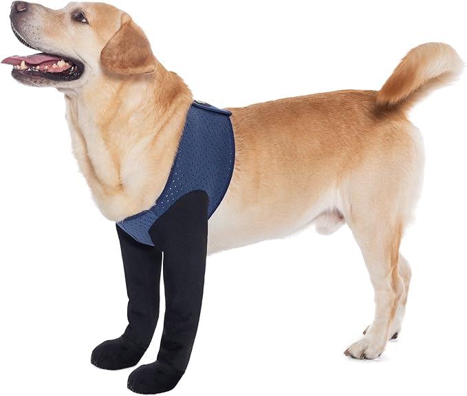 COODEO Dog Socks to Prevent Licking Paws, Dog Healing Boots & Paw Protectors with Non-Slip Bottoms to Protect Wounds, Waterproof Sleeve Dog Shoes for Licking (Blue, XL)