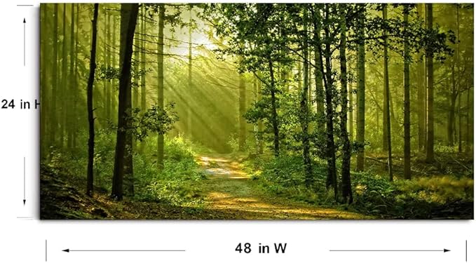 Green Morning Sunlight Forest Scenery Canvas Wall Art for Bedroom Home,Beautiful Silent Summer Woods Picture Print Artwork Painting Decor,Mordern Realism Rustic Wilderness Landscape,Inner Frame 24x48