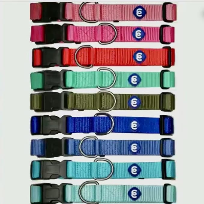 Blueberry Pet X-Small Adjustable Boy Dog Collar | for Male Dog, Durable & Quick Release for Pet Owners