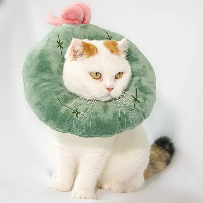Adjustable Cat Recovery Collar Soft,Cute Pet E-Collar Neck Cone After Surgery Wound Healing Protective Cone Fit for Kitties, Small Dogs(ELC05-cactus-l)