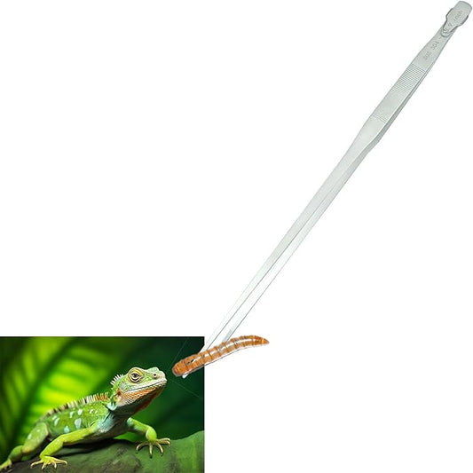 18.9 inch Aquarium Tweezers with Hanger, 2025 New Extra Long Feeding Tongs, Stainless Steel Large Aquascape Tools for Fish Tank, Terrarium，Aquascaping, Reptile Snake (Straight)