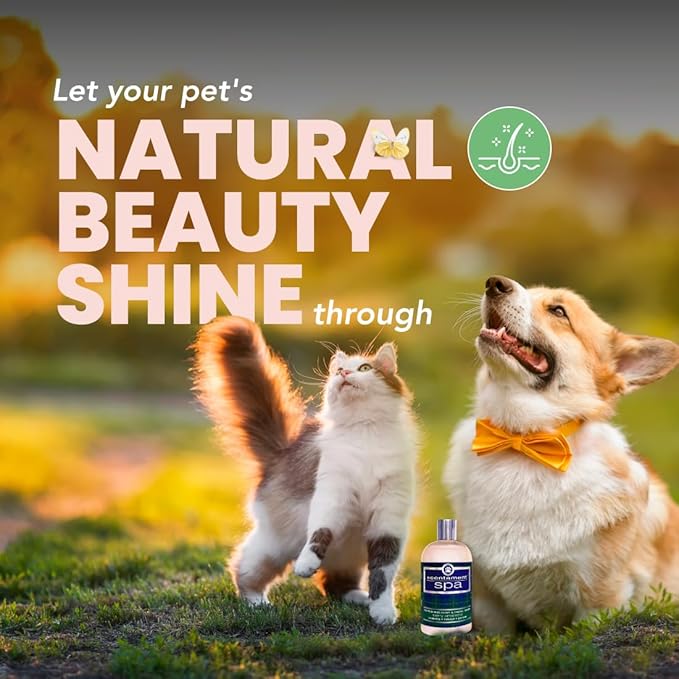 Scentament Spa Seasonal Facial & Body Wash, Berry Amaretto, 16 oz (S55-16oz)