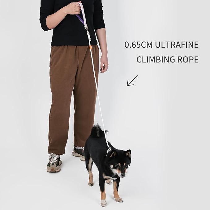 Dog Anti-Slip Leash 5FT with Metal Stopper - Durable No-Pull Training Lead for Small, Medium & Large Dogs - Comfortable Handle Nylon Rope, Tangle-Free Pet Walking Leash (Beige, 5 FT)