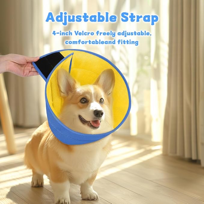Inspack Soft Dog Cone Collar Alternative, E Cones for Small Dogs/Cat/Puppy to Stop Licking after Surgery, Comfortable All Paws Comfy Elizabethan Collars, Neuter Recovery Ecollars of Shame Alternatives