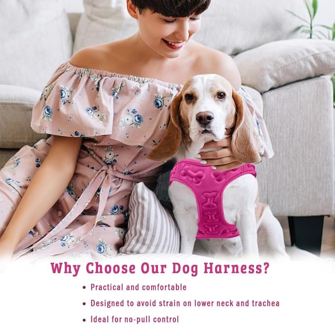 Comfort fit All Weather Step-in Dog Harness - Adjustable Small Dog Harness Medium Sized Dogs - Soft Padded Easy Walk Dog Vest Harnesses