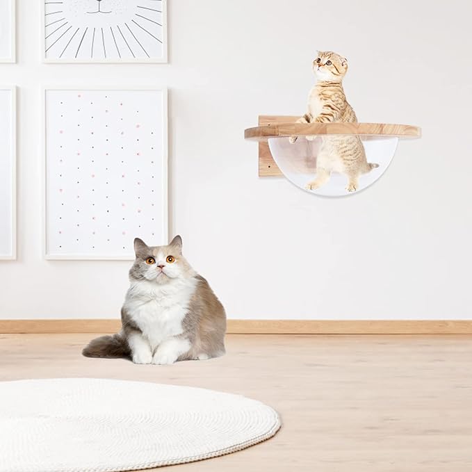 Wooden Cat Hammock, Clear Space Capsule Cat Bed, Wall-Mounted Kitten Walls Shelves Kitty Beds Small Pets Beds, Cats Toy Perch House for Sleeping, Playing, Climbing and Lounging