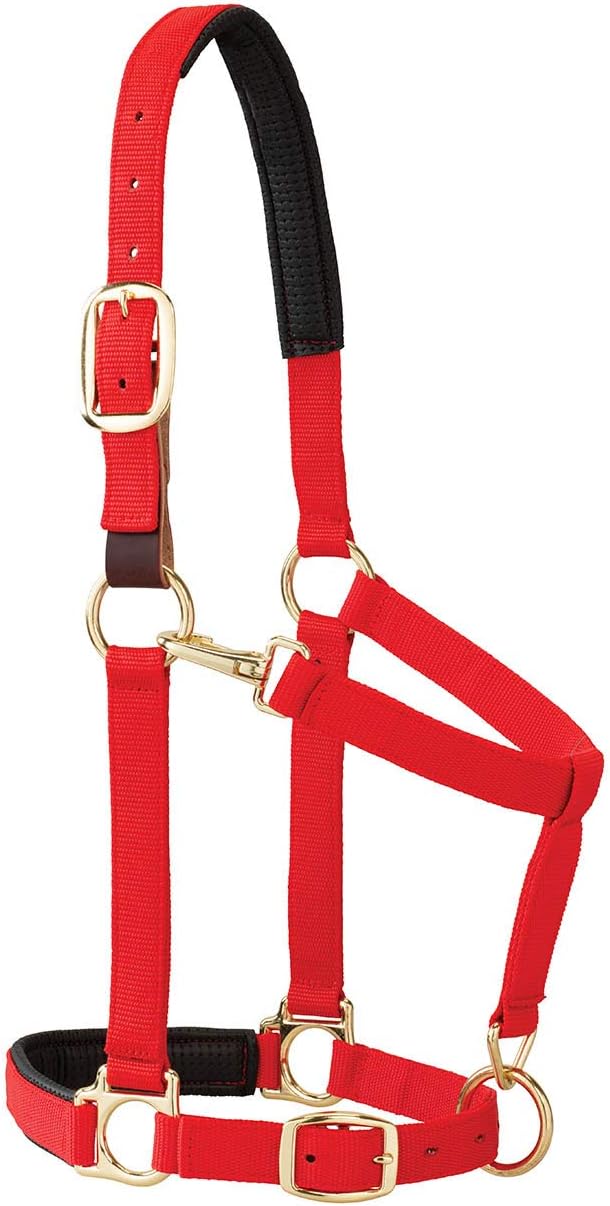 Weaver Equine Breakaway Horse Halter, Comfort Foam Padding, Adjustable Chin & Throat Snap Halters for Horses, Equine Tack,Average Size, Red